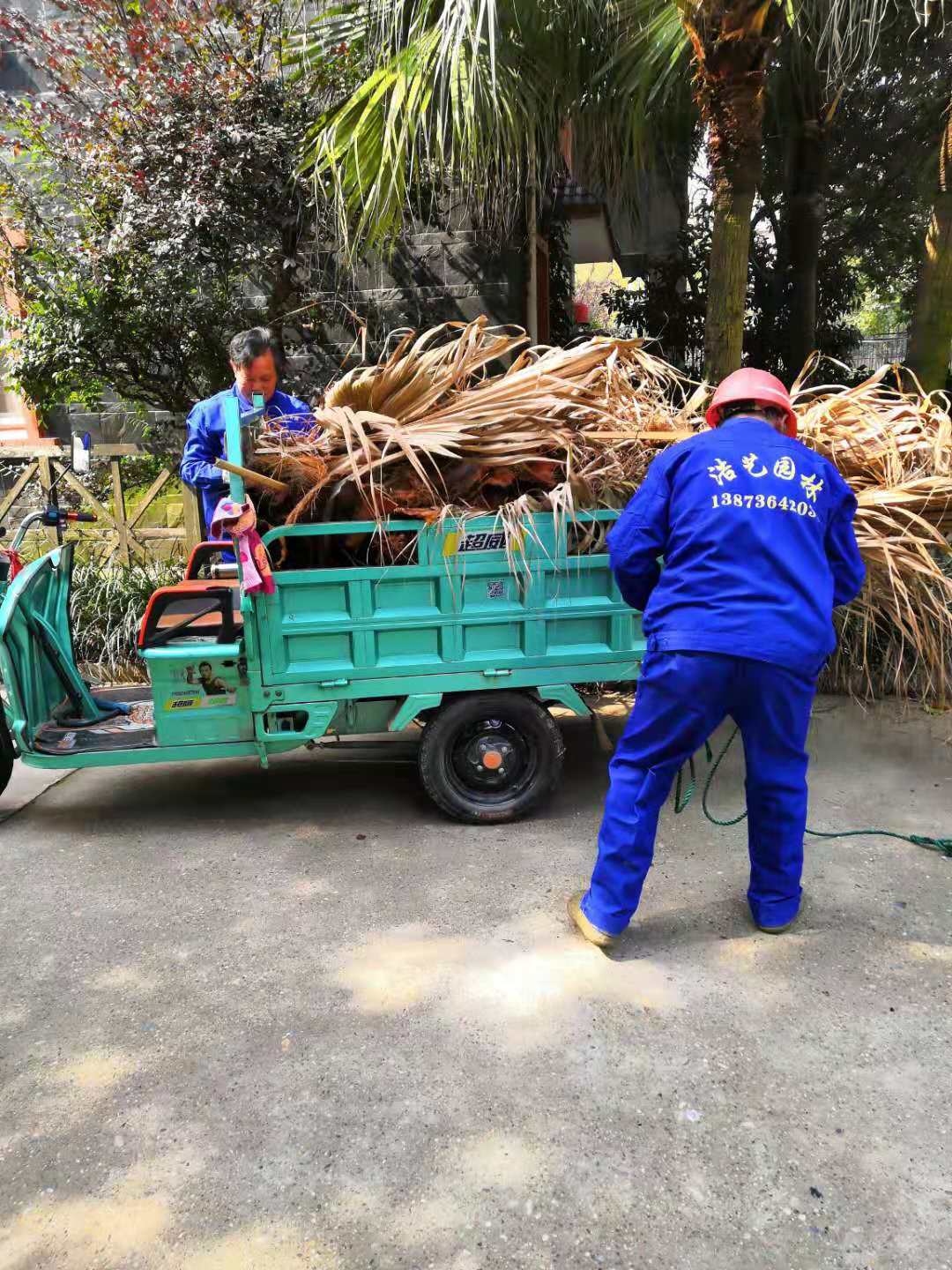 常德市康都物業(yè)服務有限公司,常德保安服務公司,保潔服務,綠化服務,搬運服務,墻外高空清洗服務