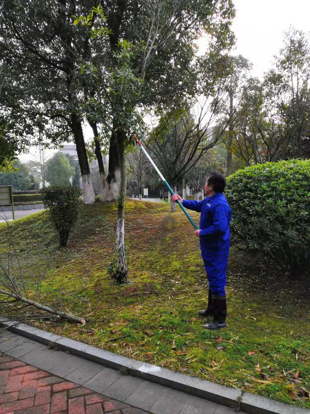 常德市康都物業(yè)服務有限公司,常德保安服務公司,保潔服務,綠化服務,搬運服務,墻外高空清洗服務